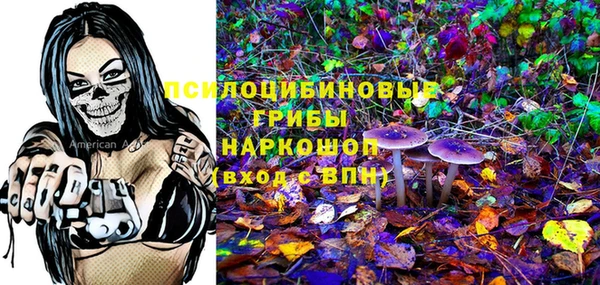 твердый Кулебаки