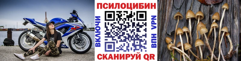 Галлюциногенные грибы прущие грибы  купить наркотики цена  Новочебоксарск 