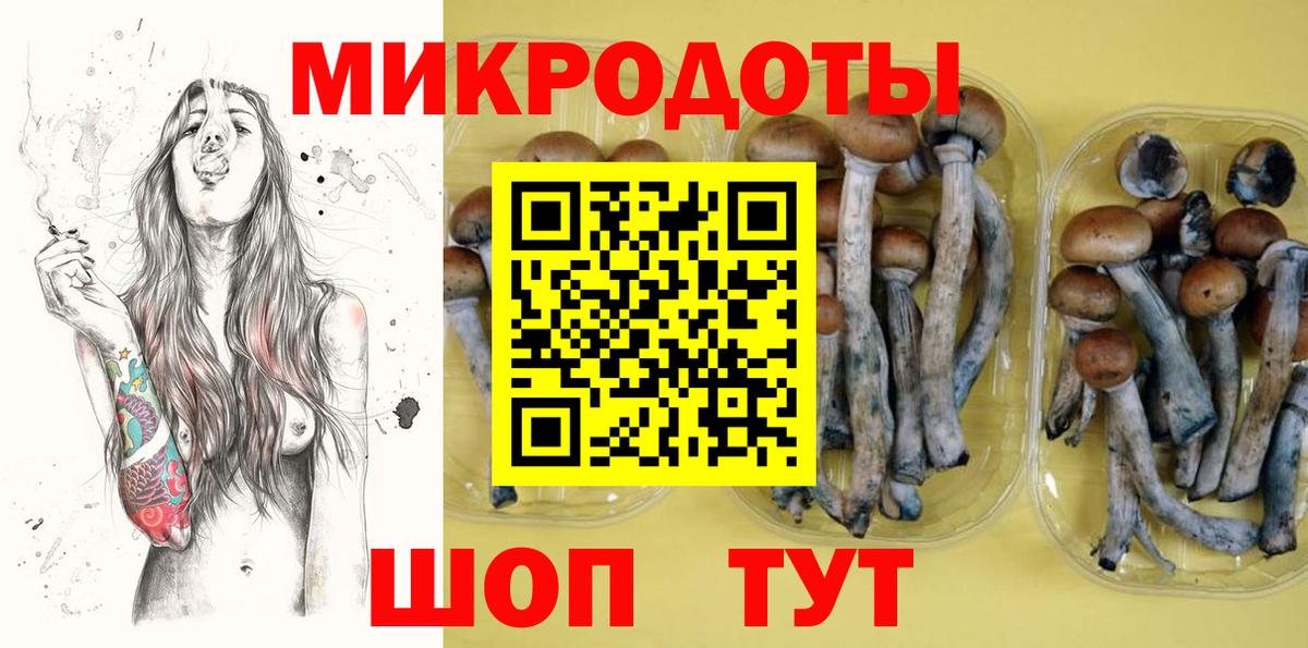 Галлюциногенные грибы Psilocybine cubensis Новочебоксарск