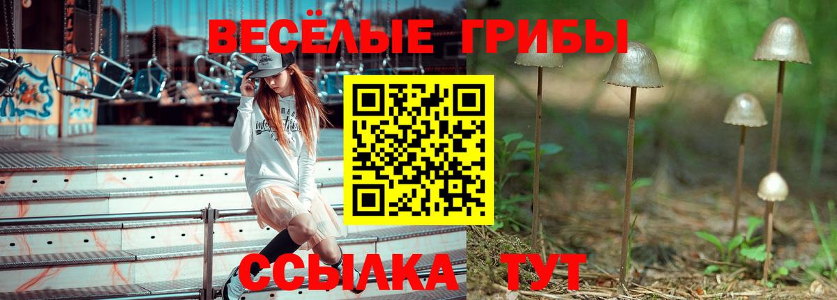 Псилоцибиновые грибы Magic Shrooms  Новочебоксарск 